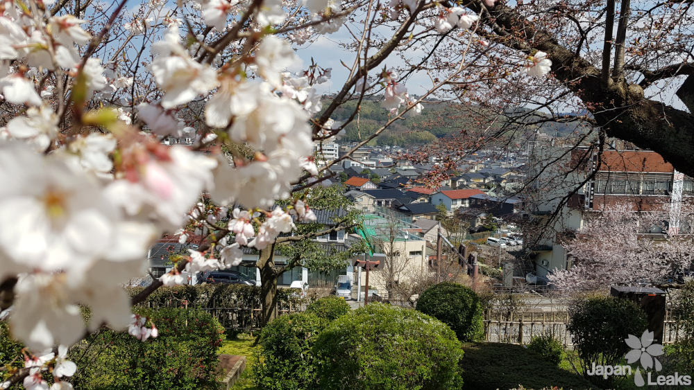 Blick vom Kenrokuen aus auf den Stadtbereich in Kanazawa.