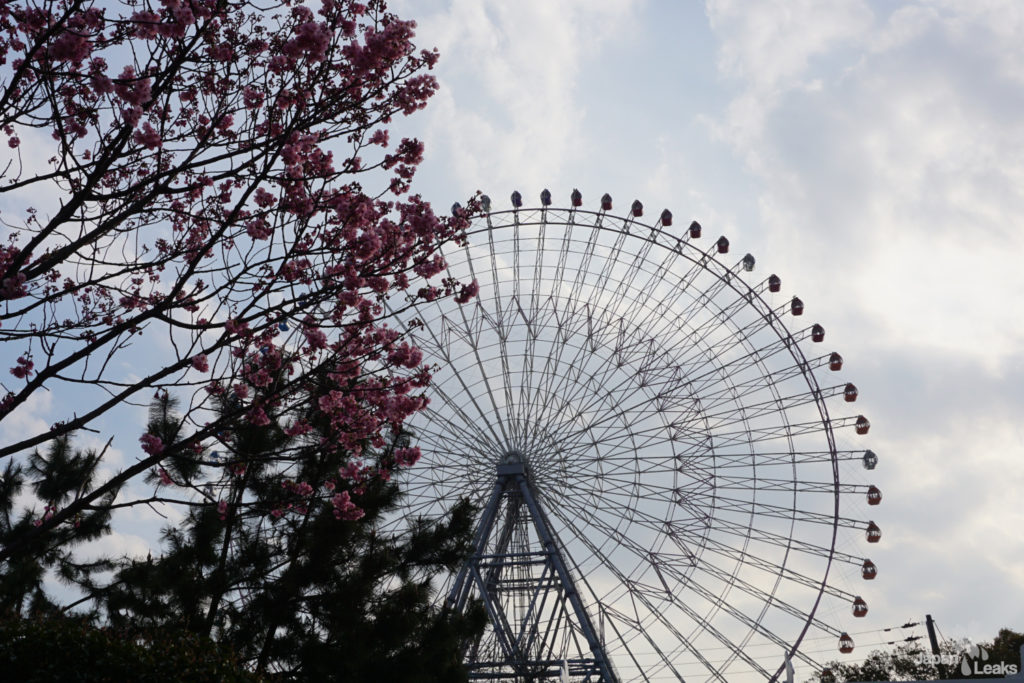 Das Riesenrad im Hafengebiet von Osaka mit Kirschblüte.