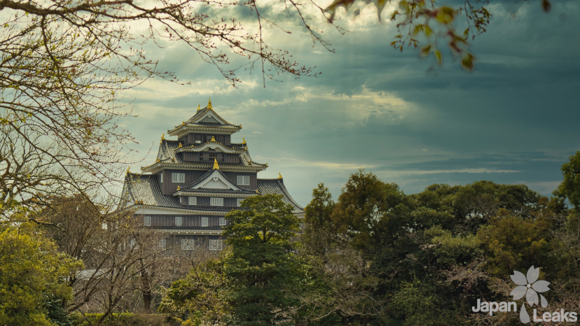 Foto der Burg Okayama vom Park aus