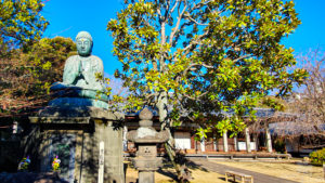 Foto der Buddha Statue am Tennoji Tempel.