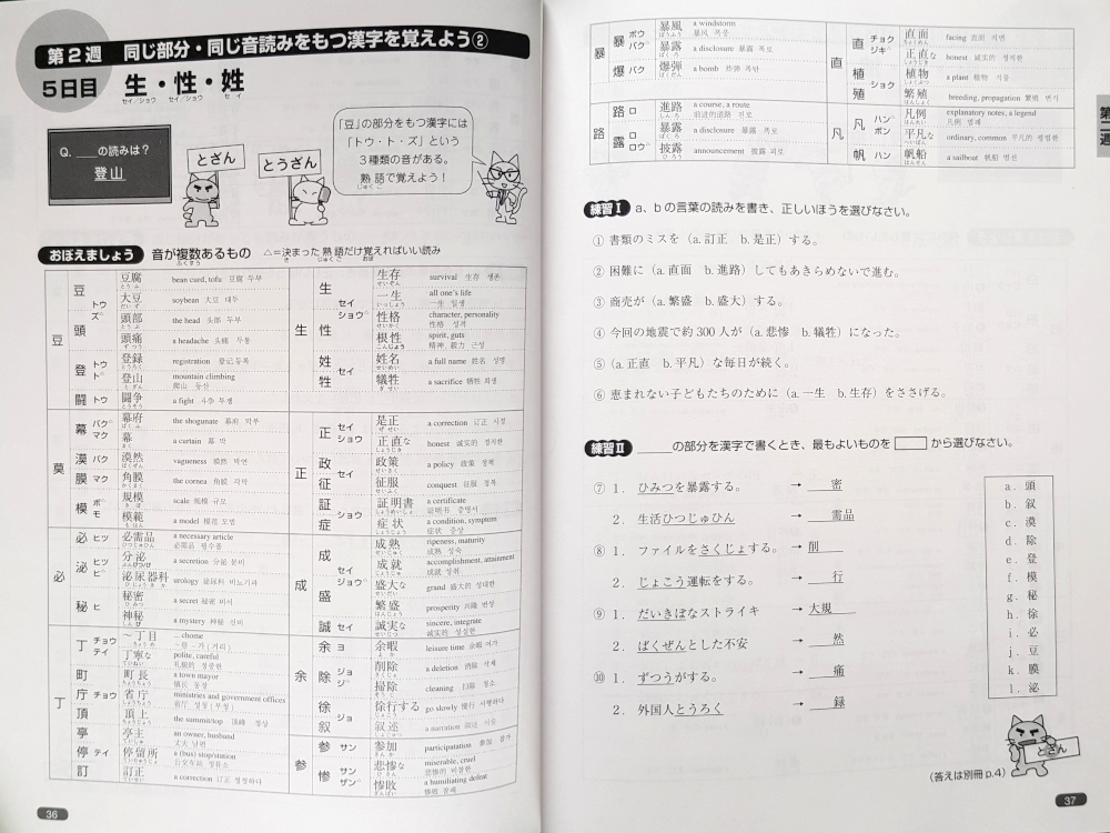 Eine Doppelseite aus dem Buch Nihongo So-Matome N1