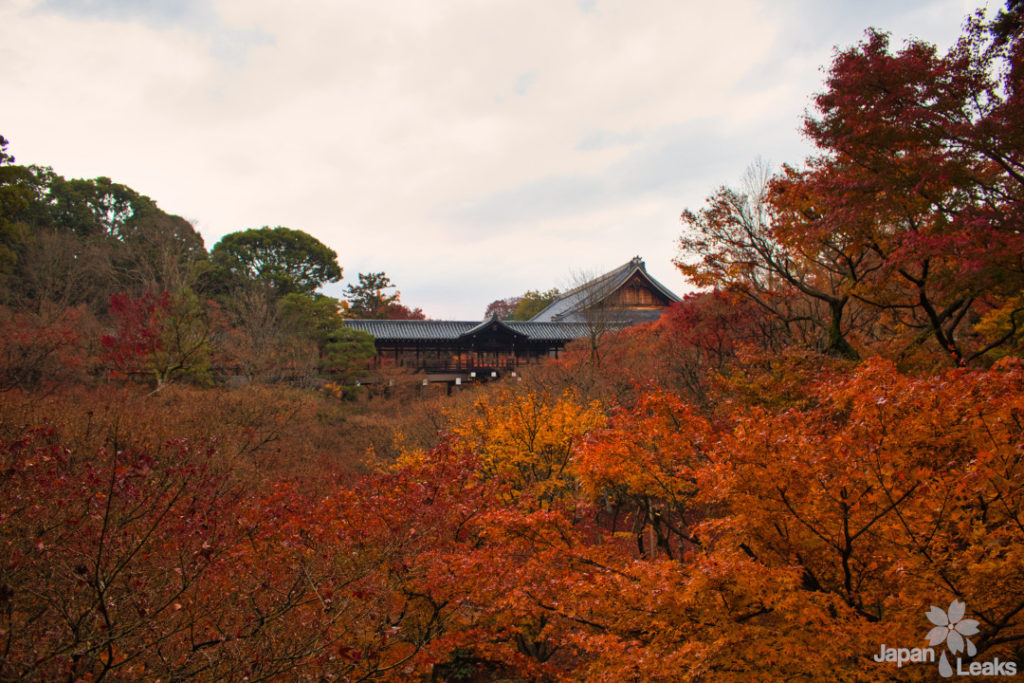 Foto des Herbstlaubs am Tofukuji