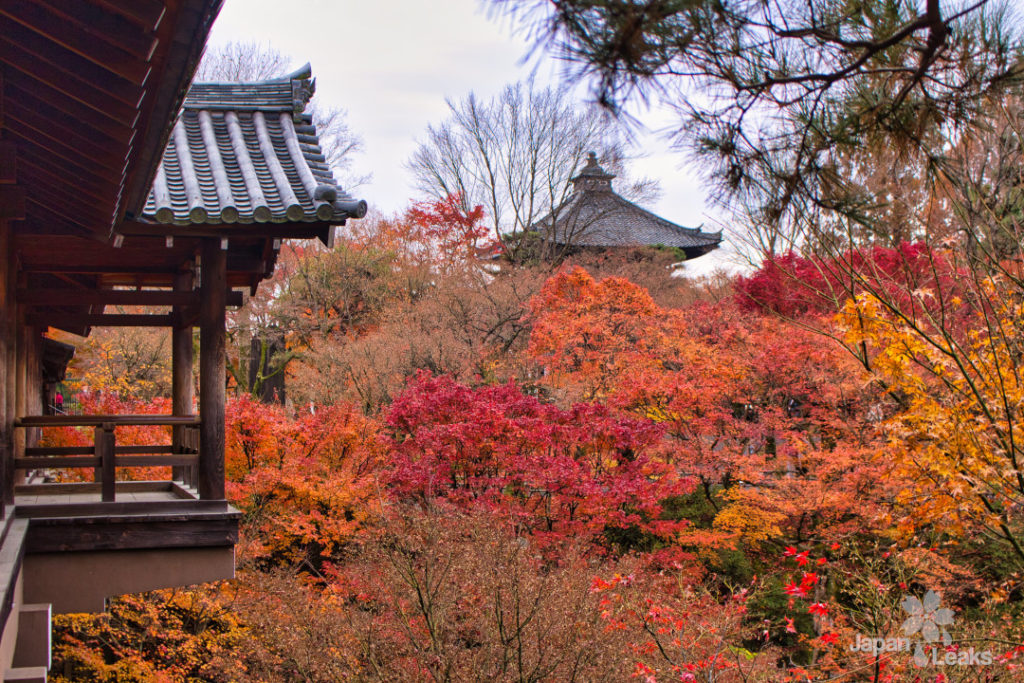 Herbstlaub an der Brücke des Tofukuji